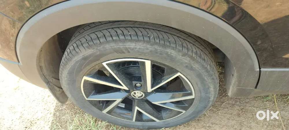 Skoda Kushaq 2025 Petrol 17000 Km Driven