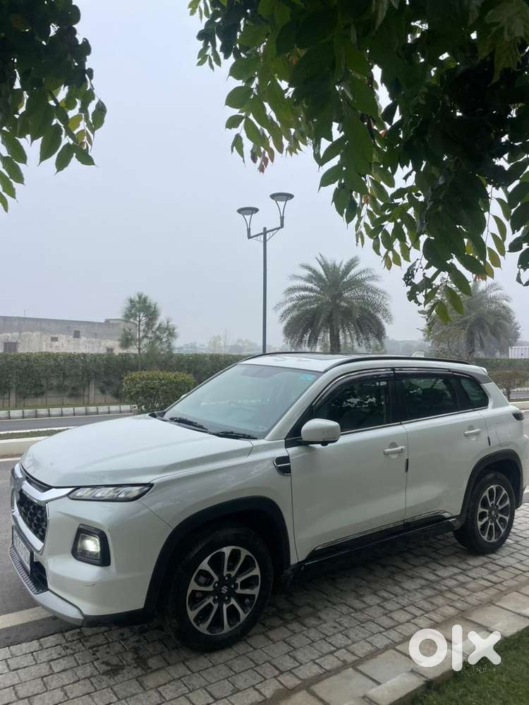 2023 Maruti Suzuki Hybrid