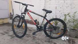 Raleigh phase best sale pro price