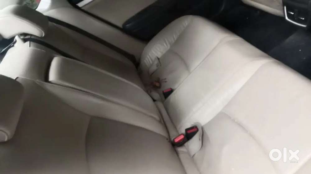 Honda Civic 2019 Petrol Well Maintained