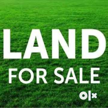 I want to hot sale sale my land