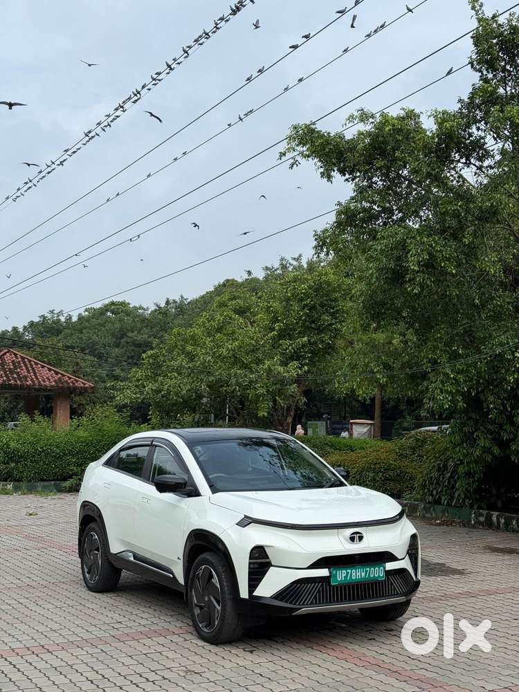 Tata Curvv Ev Empowered Plus A 55, 2024, Electric
