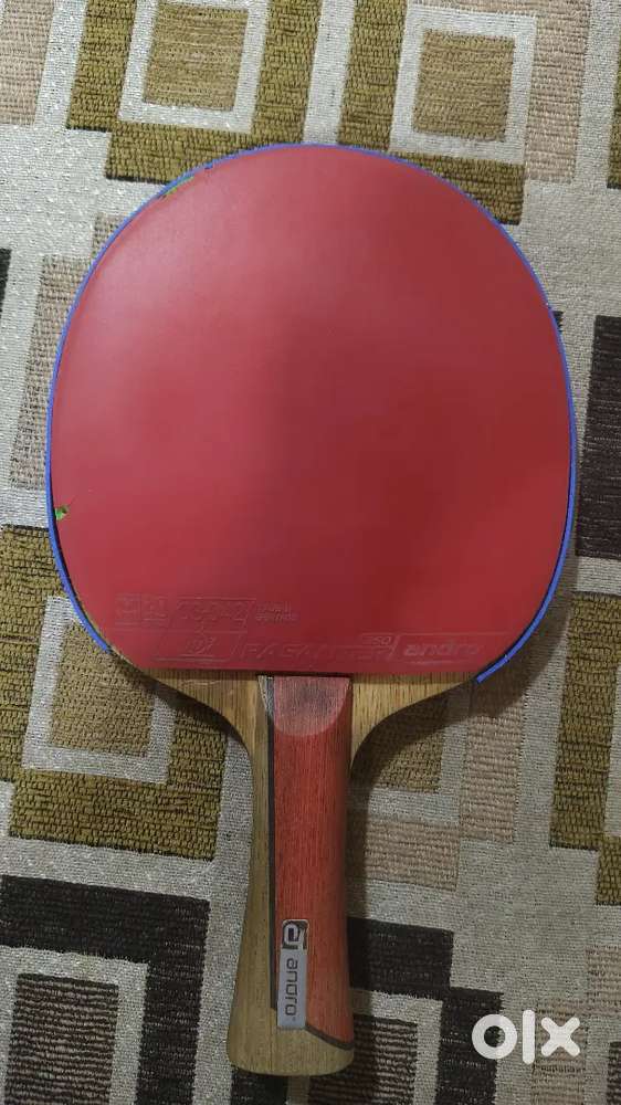 Professional Table Tennis Racket - Sports Equipment in Kothrud, Pune ...