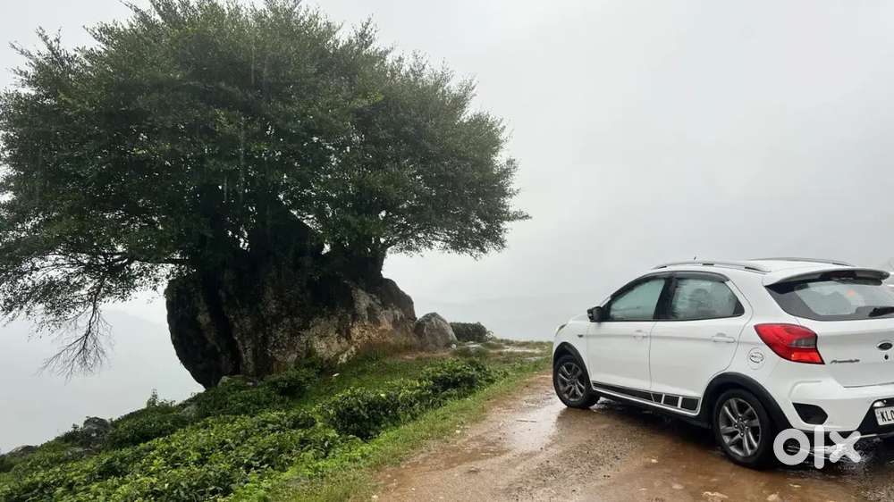 Ford Freestyle Petrol 2019