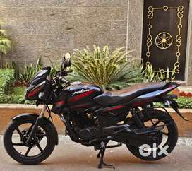 Olx bike cheap pulsar 150