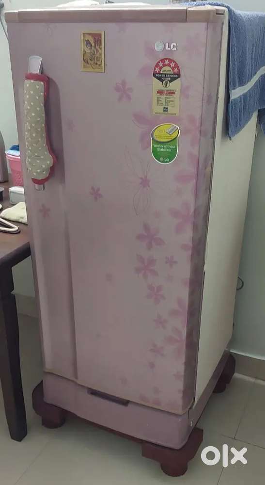 LG brand fridge