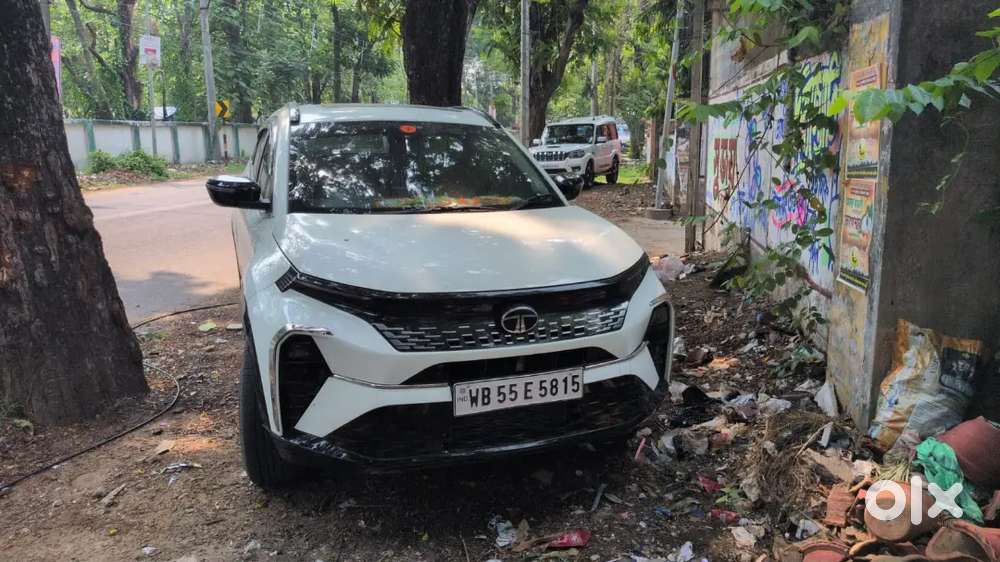 Tata Curvv 2025 Petrol Well Maintained