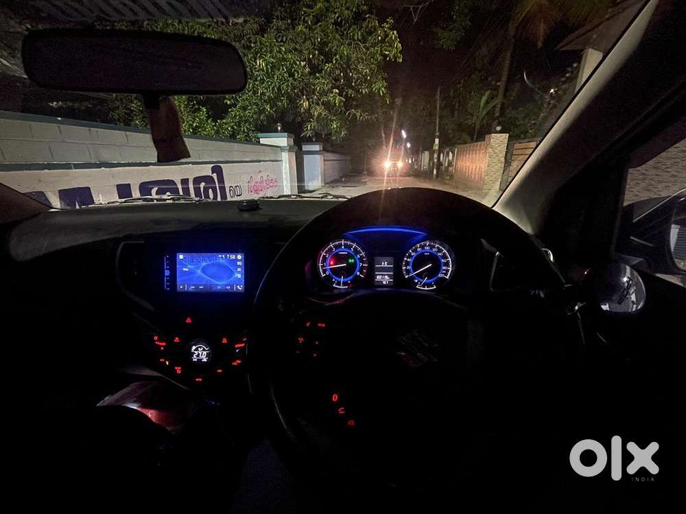 Excellent Body Condition