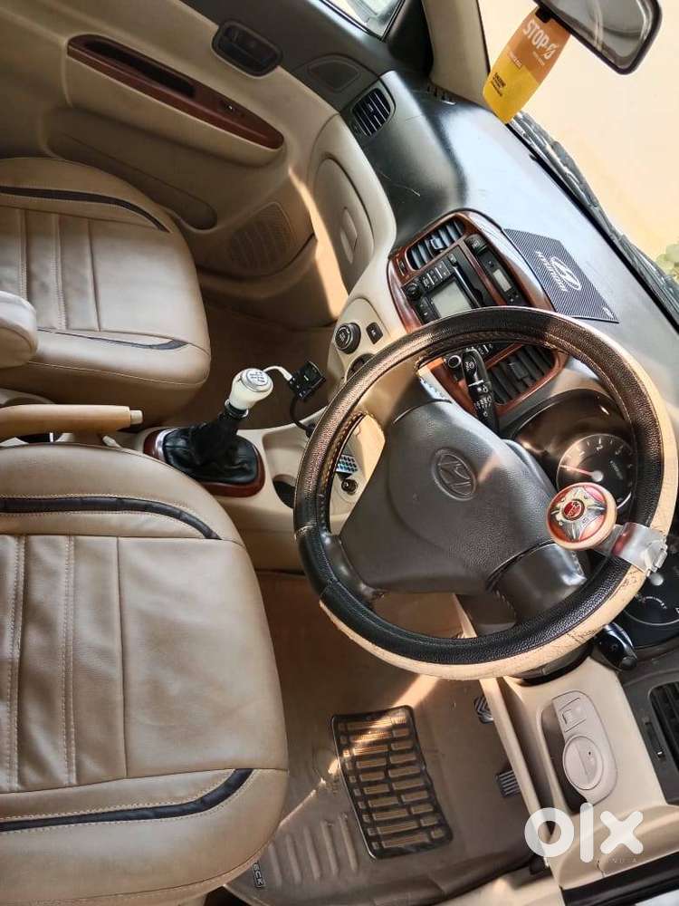 2010 Model