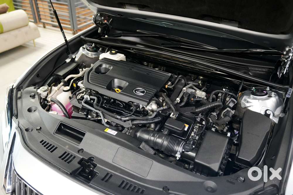Lexus Es 300h Exquisite, 2024, Petrol
