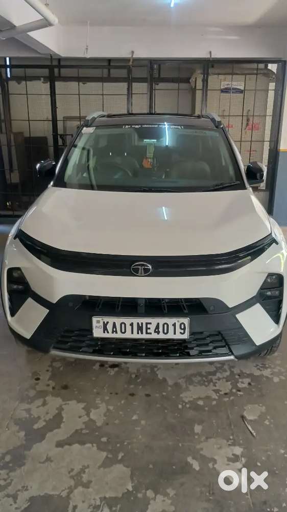 Tata Nexon 2025 Petrol Well Maintained