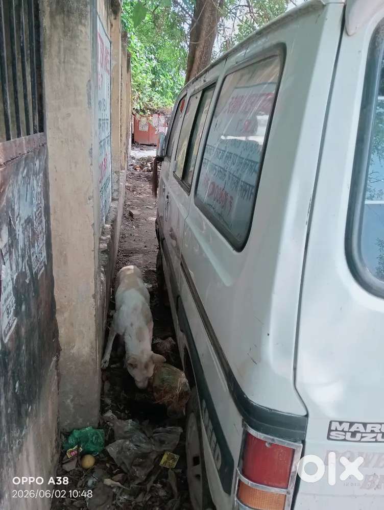 Maruti Suzuki Omni 2017 Lpg + Petrol 120000 Km Driven