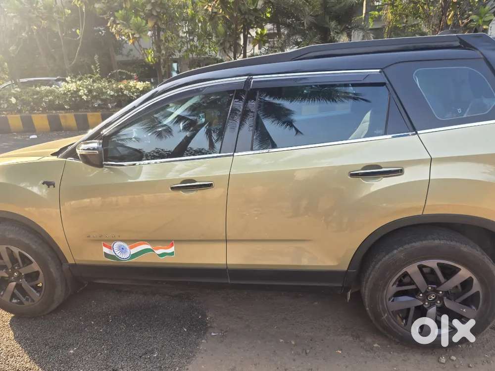 Showroom Condition Safari Limited Edition Top Model