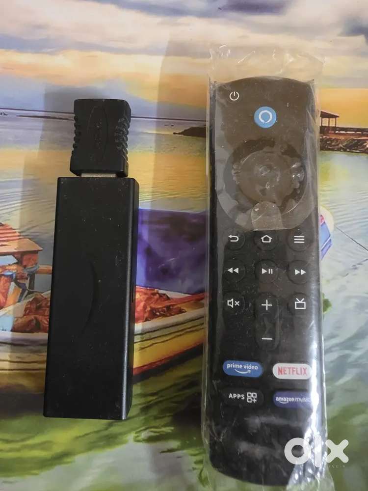 Fire TV stick with remote