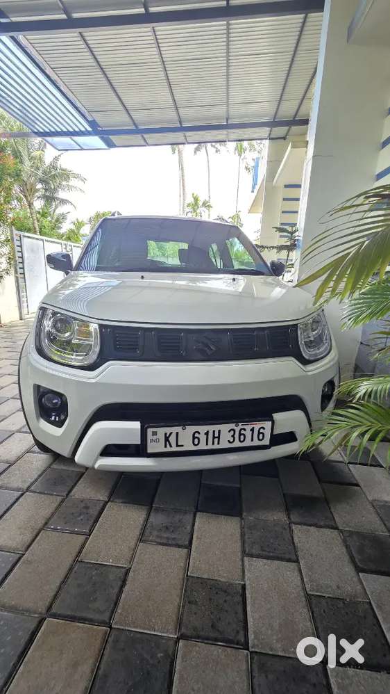 Maruti Suzuki Ignis Alpha 2026