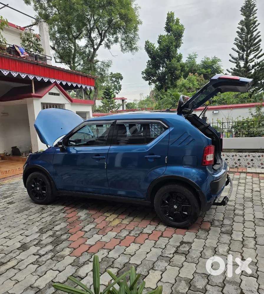 Maruti Suzuki Ignis Alpha 2017(top Model)