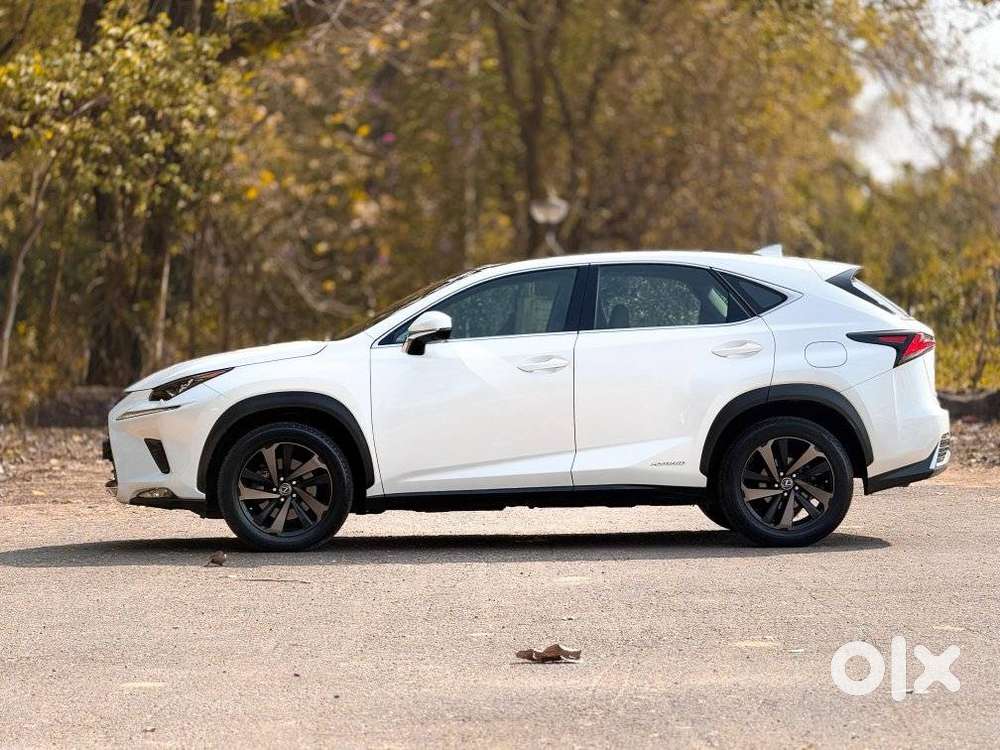 Lexus Nx 300h, 2019, Petrol