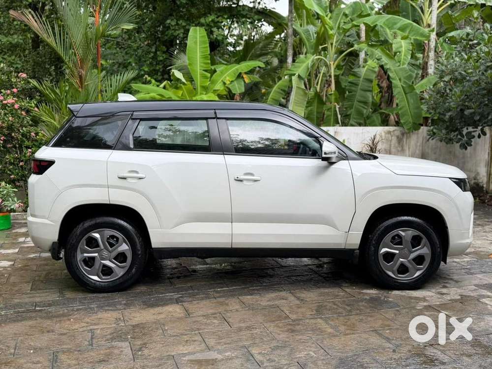 Maruti Suzuki 2023 Petrol