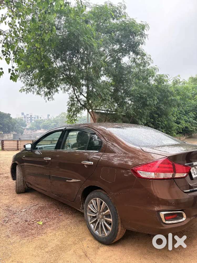 Maruti Suzuki Ciaz 2048