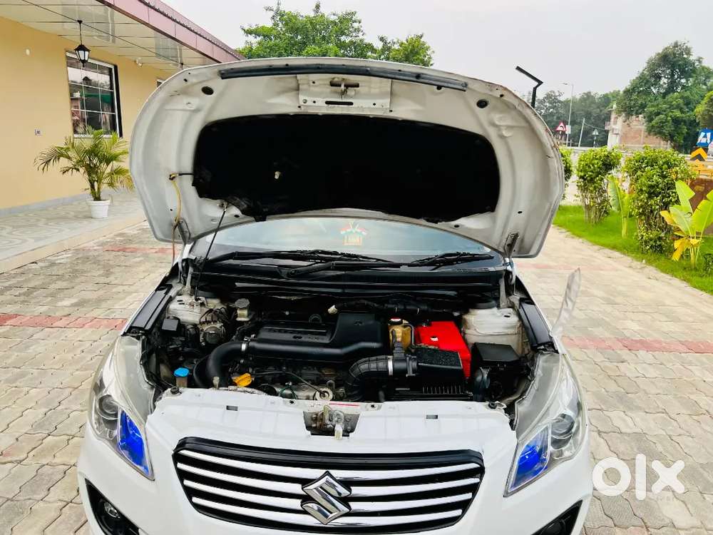 Maruti Suzuki Ciaz Zdi Plus Car 2016