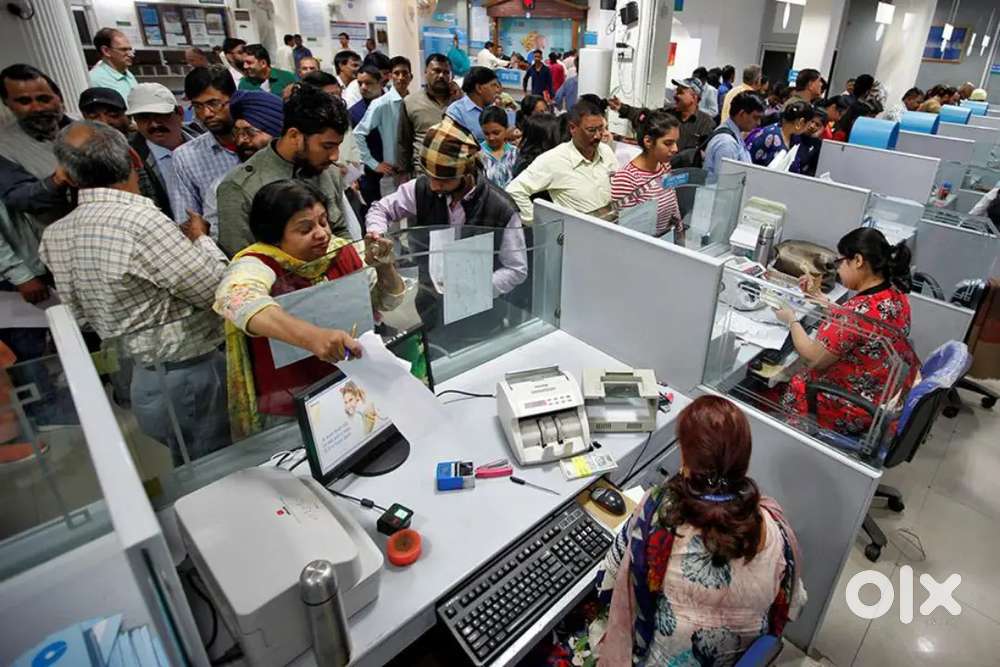 Hiring for fresher candidates