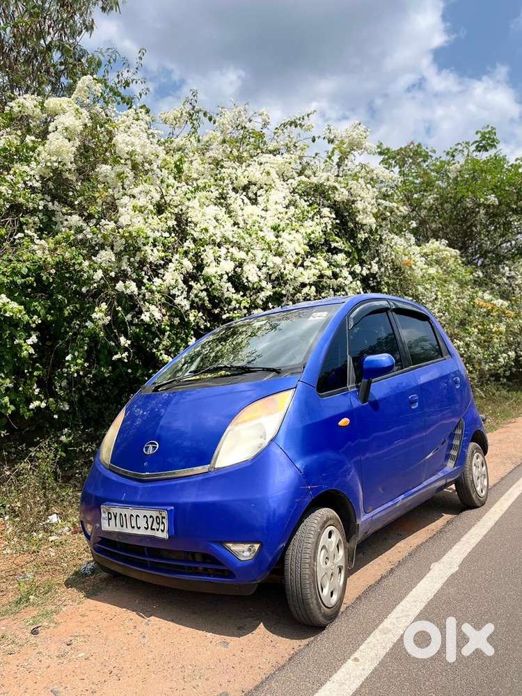 Nano 2013 Top Variant