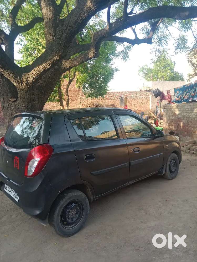 Maruti Suzuki Alto 800 2014 Cng & Hybrids 43000 Km Driven