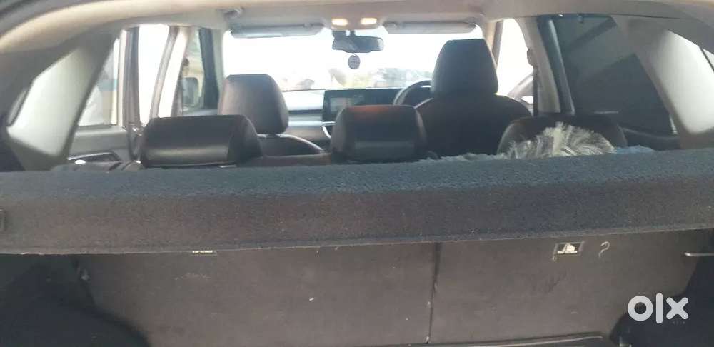 Kia Seltos 2019 Petrol Well Maintained