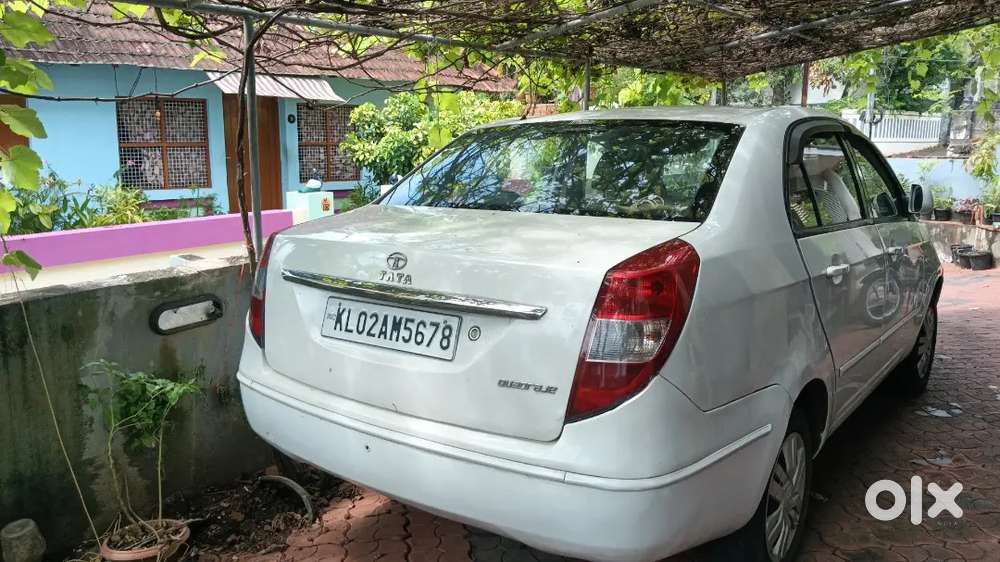 New Insurance