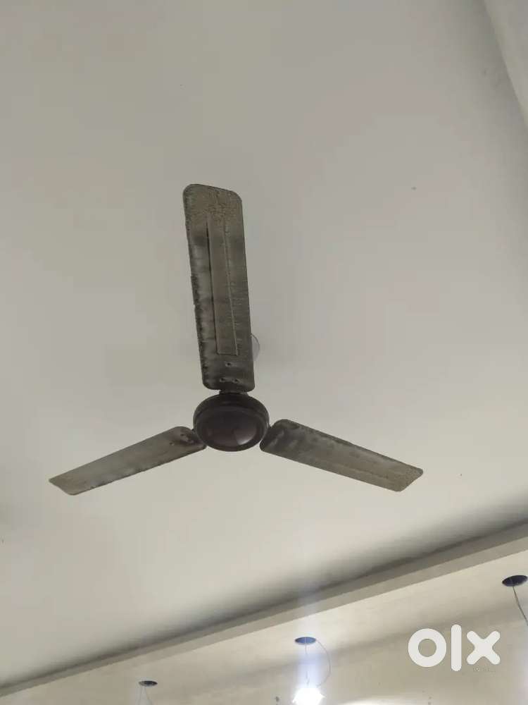 Crompton ceiling fans available for sale