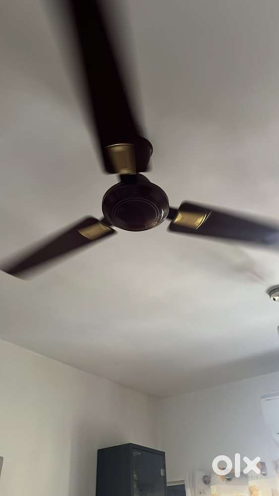 Ceiling Fan