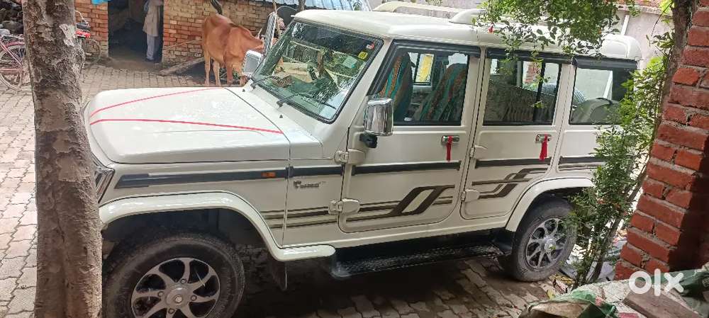 अर्जेंट सेल