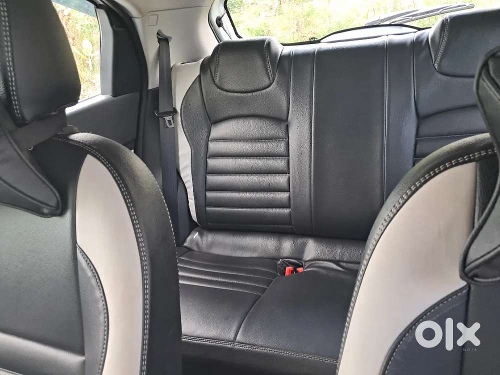 Accomplish Pluch Top 2 Very Ant Bat An Start