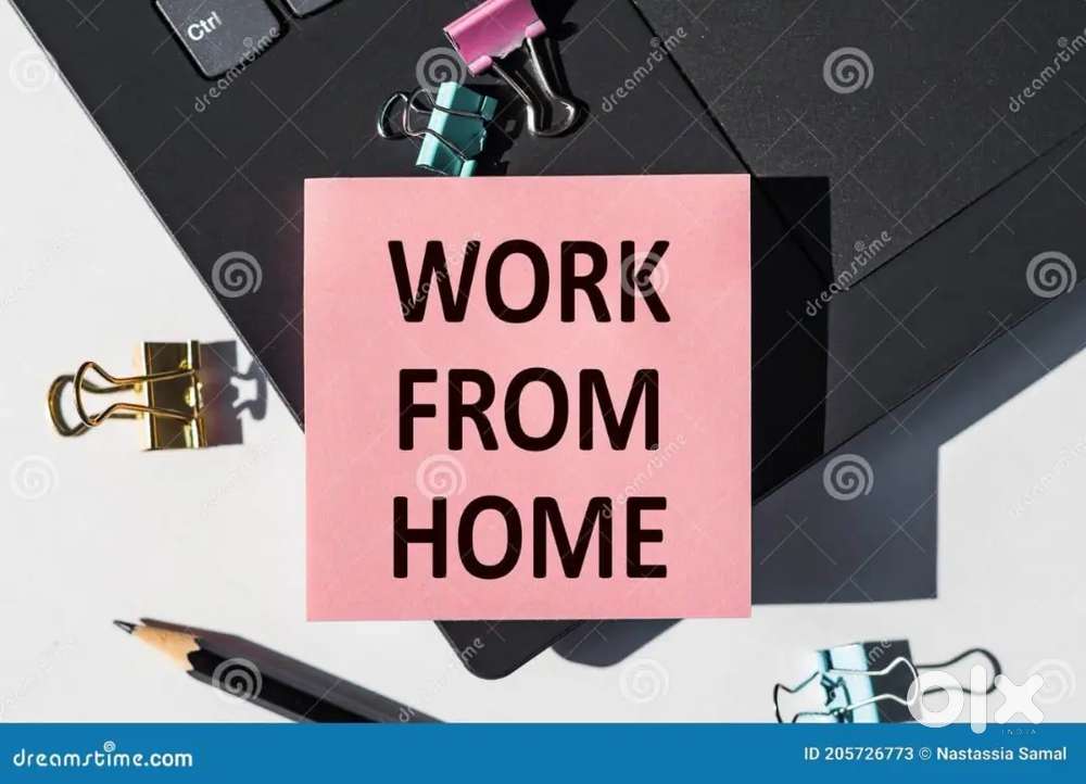 Looking for freshers