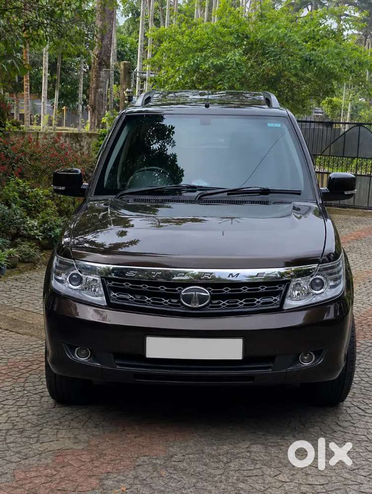 Safari Strom
