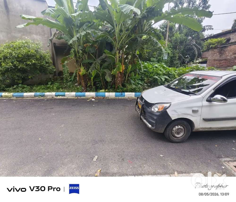 Maruti Suzuki Alto 2019 Car