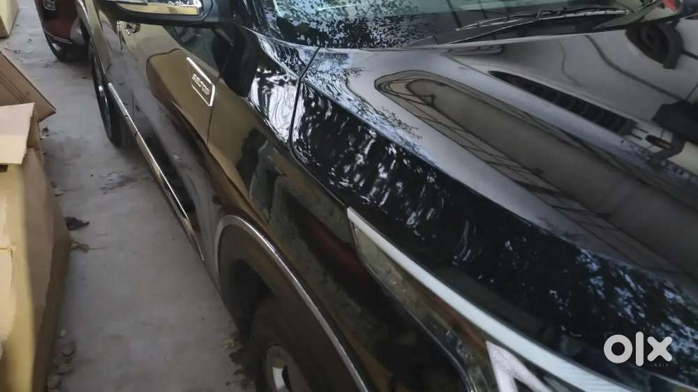Kia Seltos 2025 Petrol 12000 Km Driven