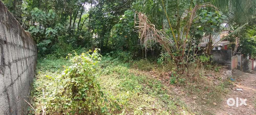 5 Cent plot for sale near GV Raja sports school mylom.
