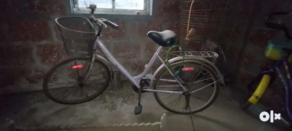 Olx best sale ladies bicycle