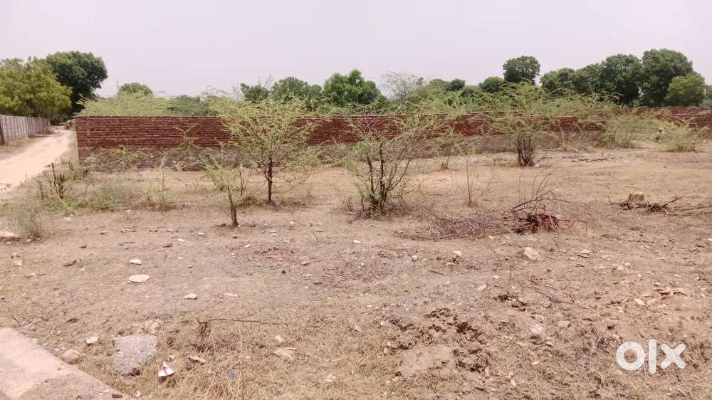 यह प्लॉट बिकाऊ हे बहुत अच्छे और सस्ते दाम में जल्द सम्पर्क करें