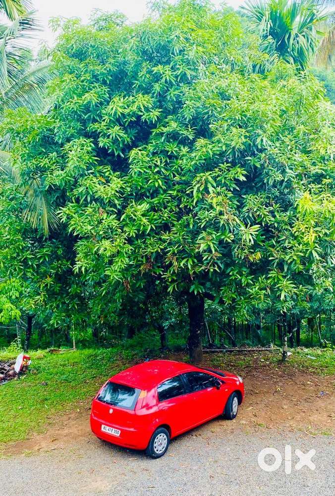 Fiat Punto 2011 Petrol 85000 Km Driven