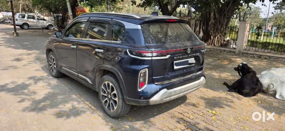 Maruti Suzuki Grand Vitara 1.5 Delta Smart Hybrid, 2023, Petrol