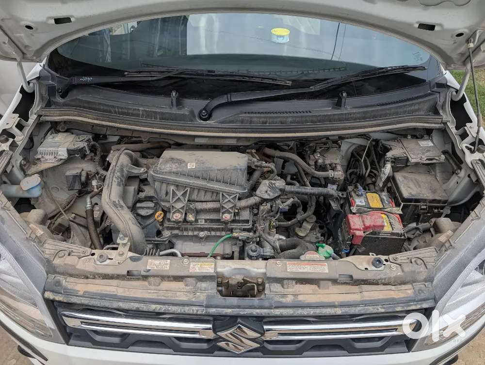 Maruti Suzuki Wagon R Vxi Cng 2024