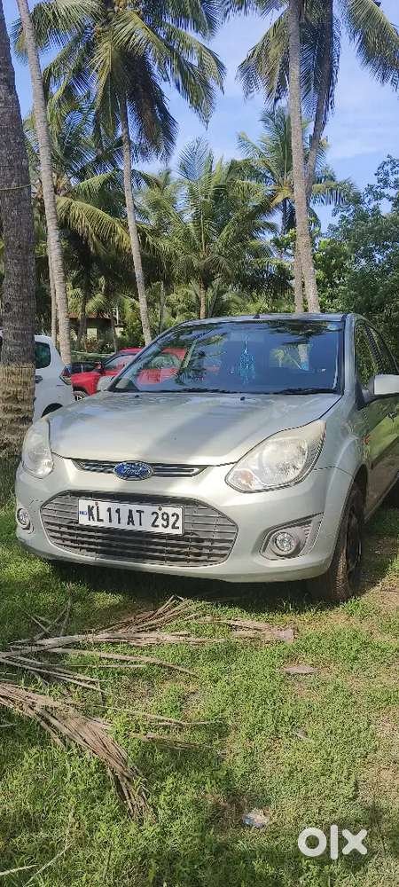 2013 Model
