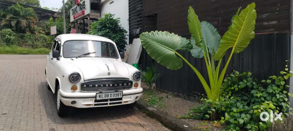Ambassador 2003 Diesel Manual