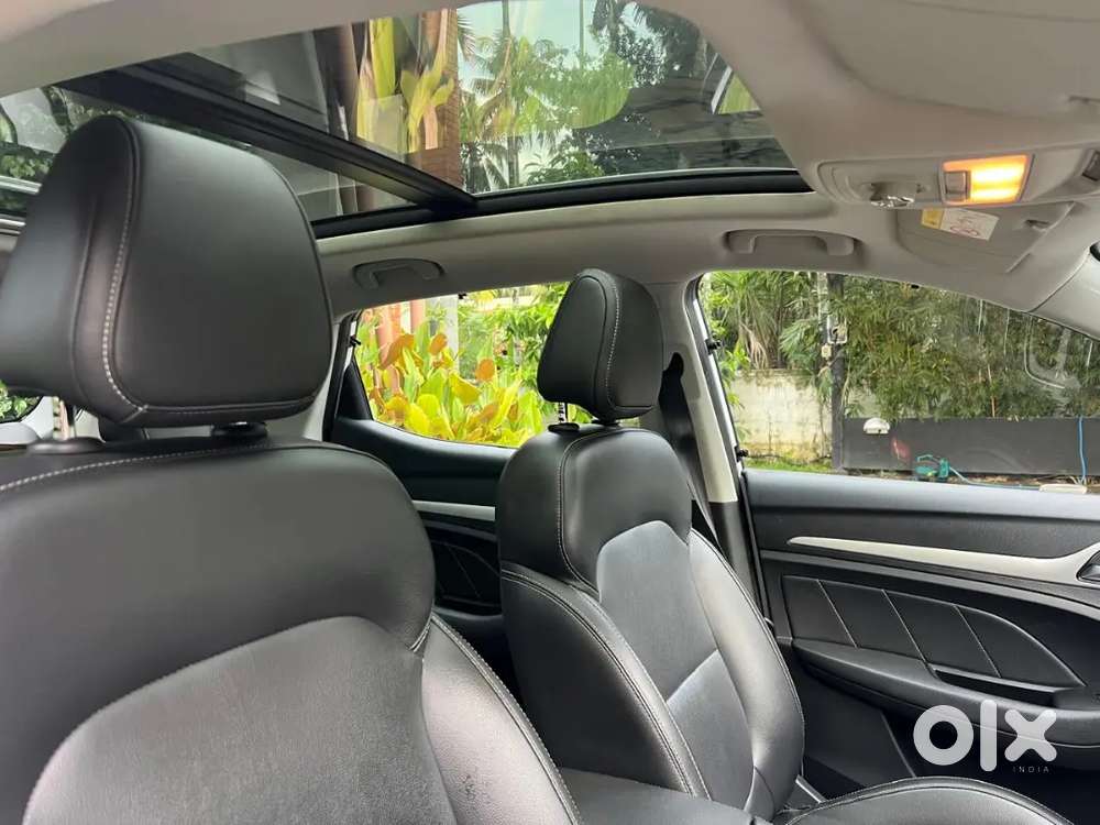 Mg Zs Ev Exclusive