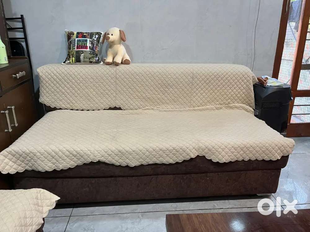 A very good and new like sleepwell sofa cum bed