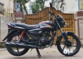 Honda shine 2015 model olx new arrivals