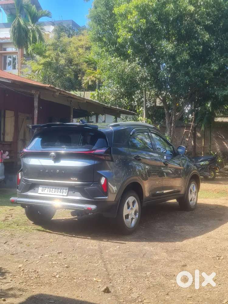 Tata Nexon 2024 Petrol 28753 Km Driven