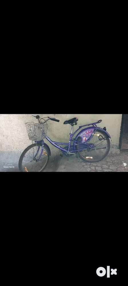 Bsa slr hot sale cycle olx